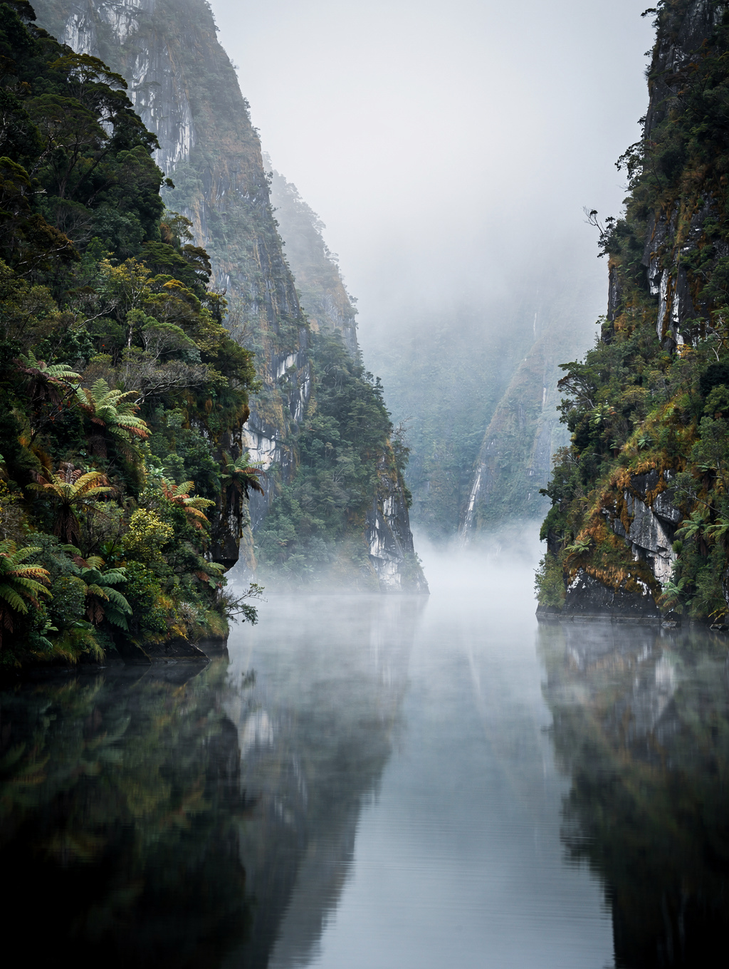 Mist-covered fiord in New Zealand